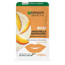 MASC REP GARNIER P-LABIOS SECO