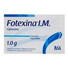 FOTEXINA IM 1G F A 1X4ML