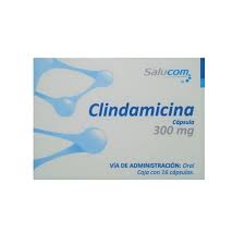 CLINDAMICINA 300MG 16CPS