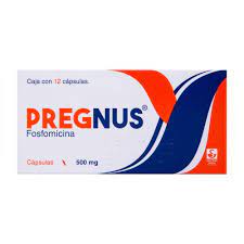 PREGNUS 500 MG CAPSULAS 12      N