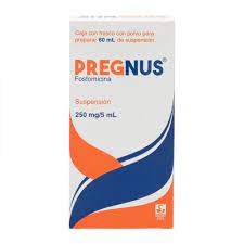 PREGNUS 250MG/5ML SUSPENSION POLVO 60ML N
