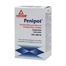 PENIPOT (BENCILPENICILINA PRO) 400000UI 1 AMPULAS 2 ML