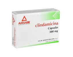 CLINDAMICINA 300MG 16 CAPS