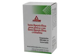 BENCILPENICILINA PROC 800000UI 2ML AMP