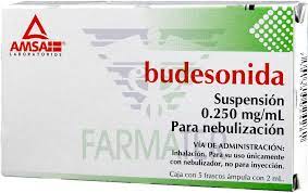 BUDESONIDA 0.250MG/2ML NEBULIZAR