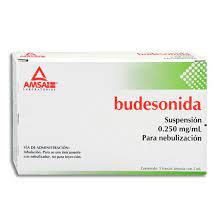BUDESONIDA 0.500MG/2ML AMSA